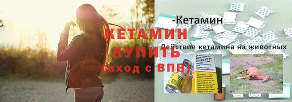 крисы Наволоки