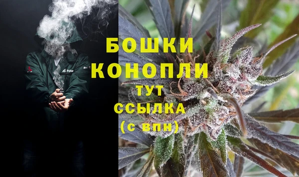 крисы Наволоки