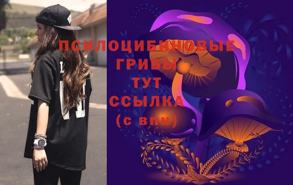 гашиш Надым