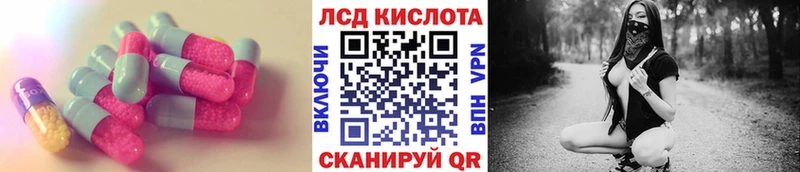 Купить закладки  Севск  Лсд 25 экстази кислота 